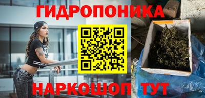 дживик Гусь-Хрустальный